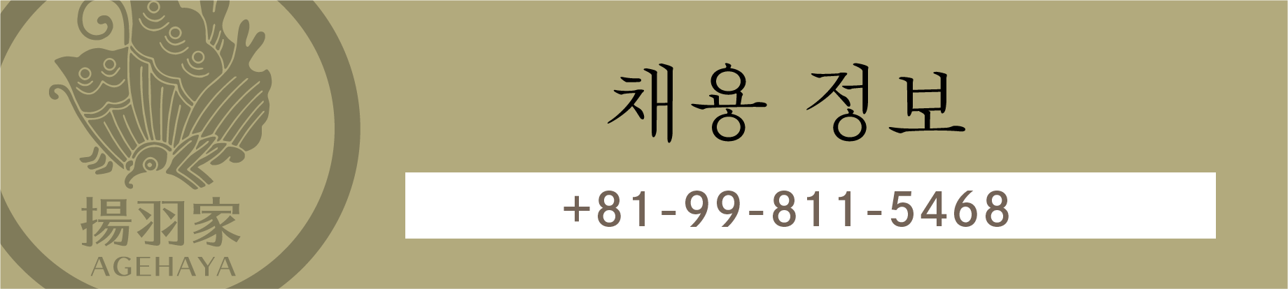 채용 정보