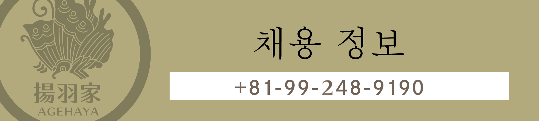 채용 정보